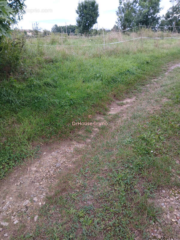 Terrain à SAINT-CYR-SUR-MENTHON