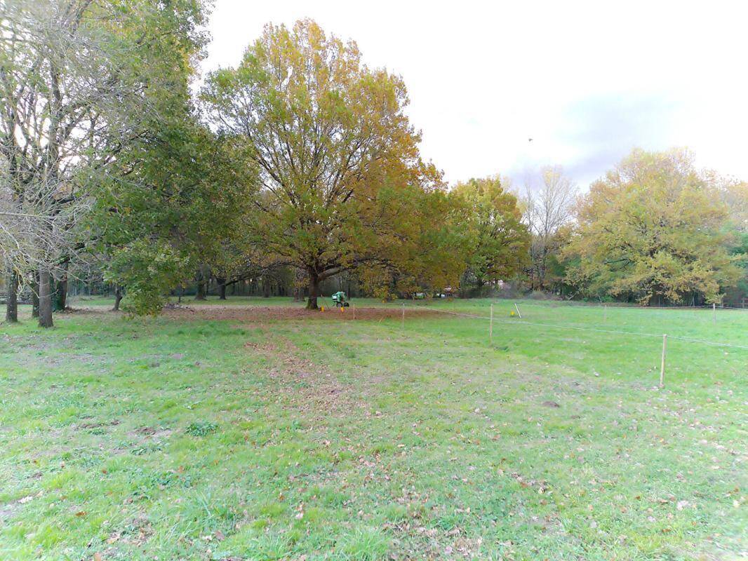 Terrain à BRAX