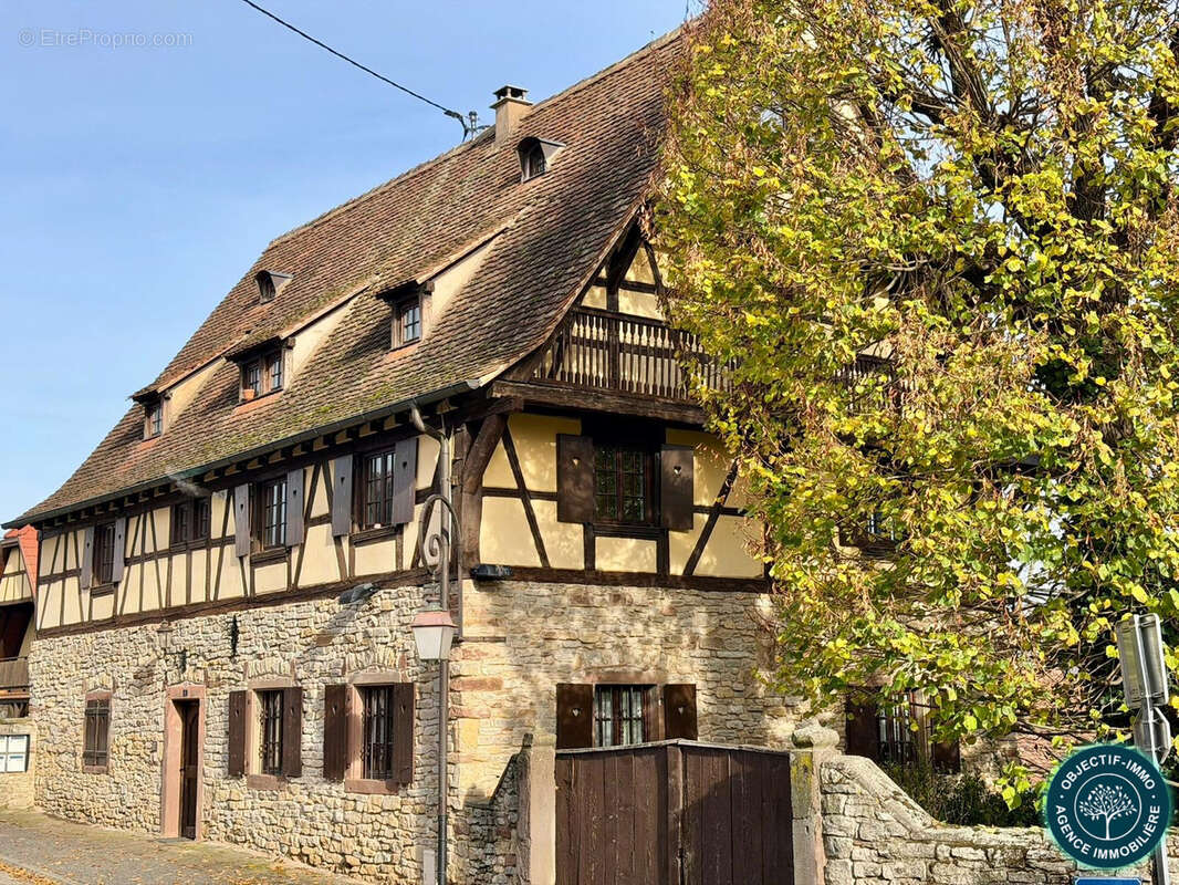 Appartement à WILLGOTTHEIM