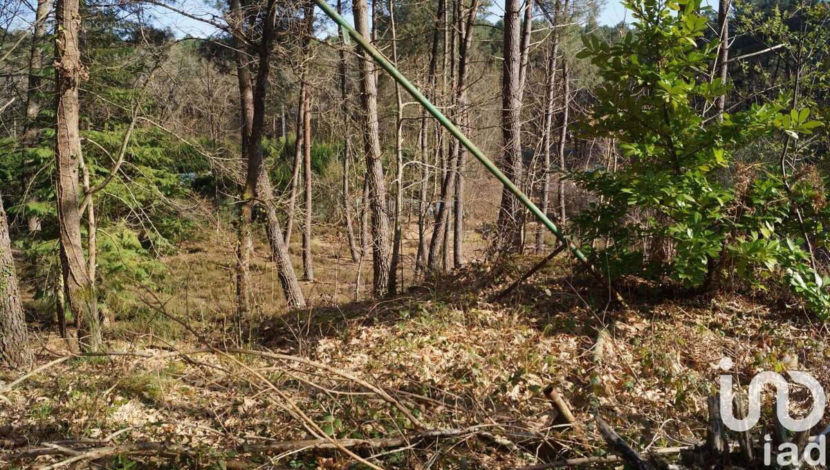 Photo 2 - Terrain à YVRE-LE-POLIN