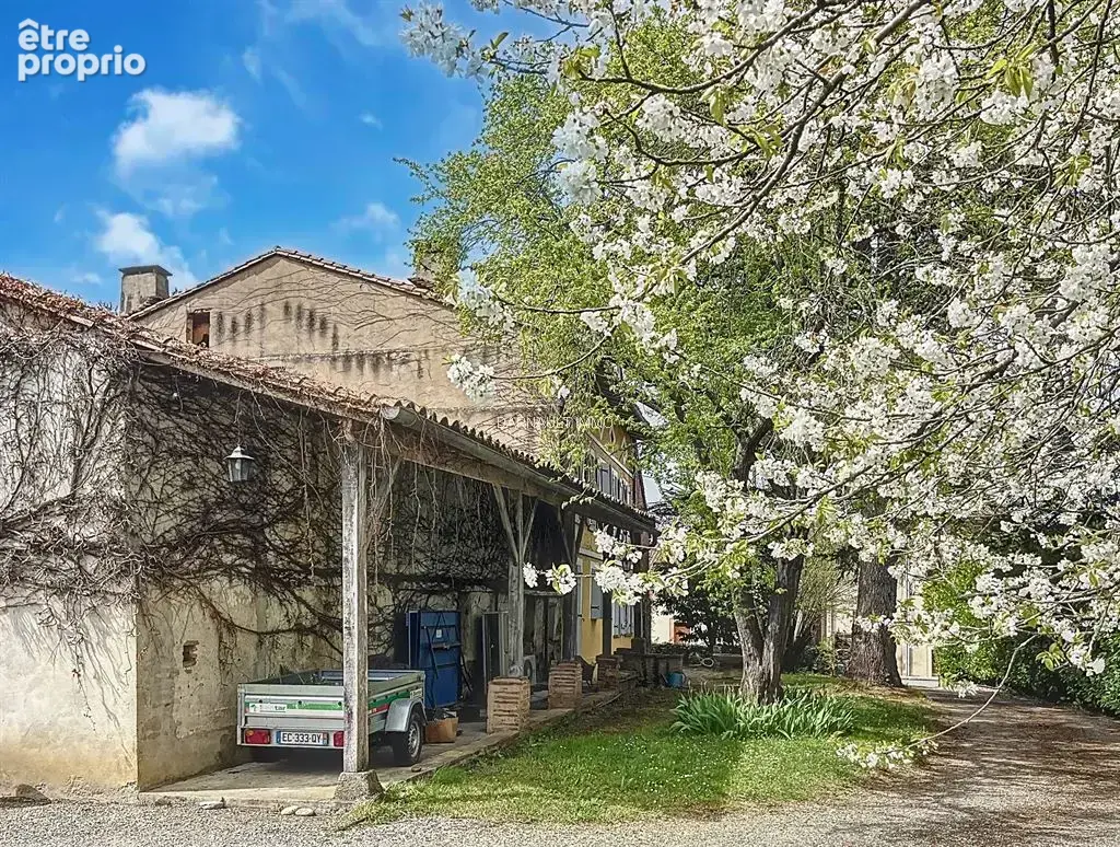 Maison de maître  à montesquieu- volvestre - photo 4