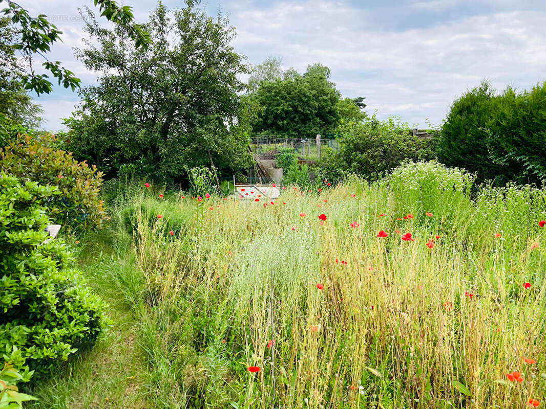 Maison à SAINTE-BARBE