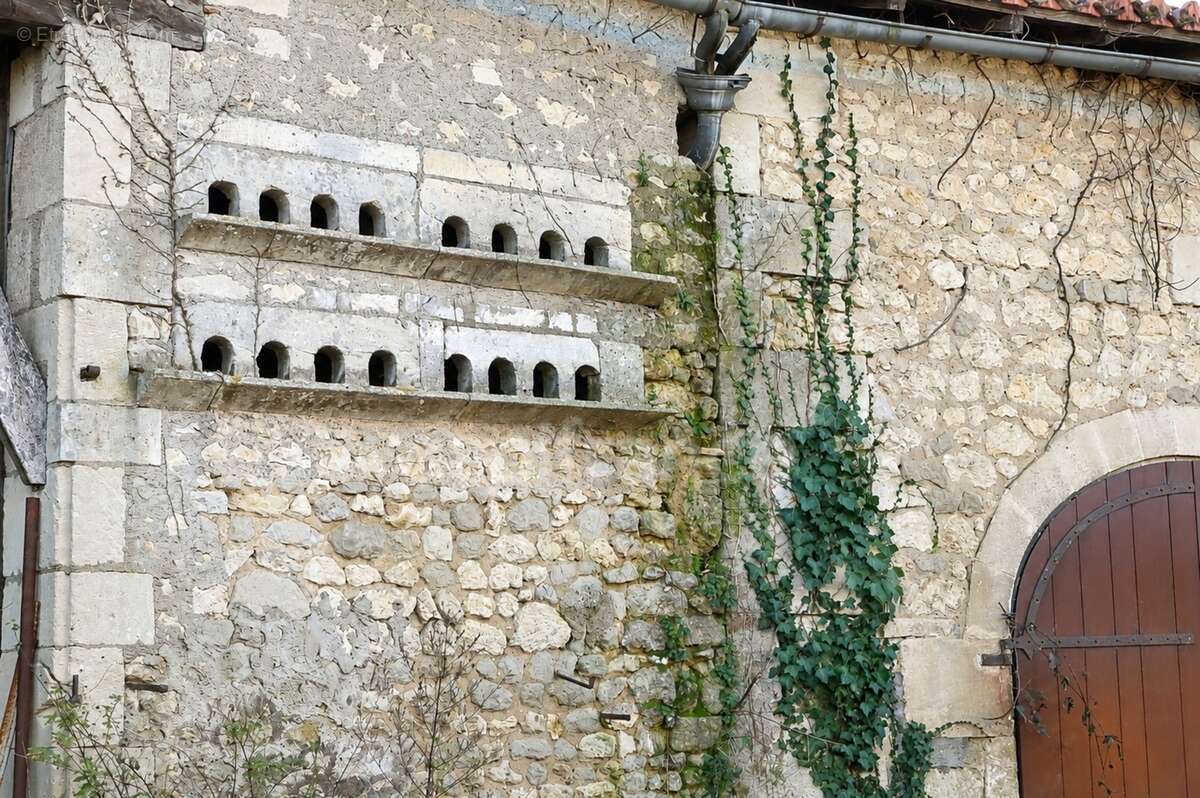 Un domaine n'appartient jamais tout à fait à ceux qui l'habitent, il se transmet - Bors (16) - photo 20