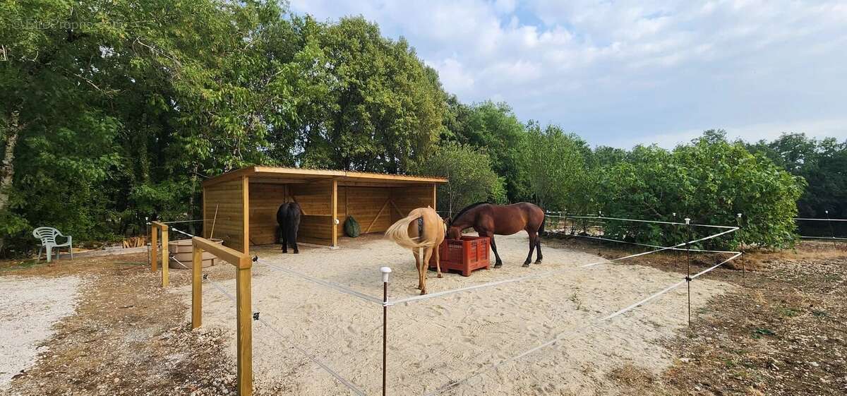 Propriété isolée avec 2 gîtes et piscine sur plus de 4 hectares - photo 23