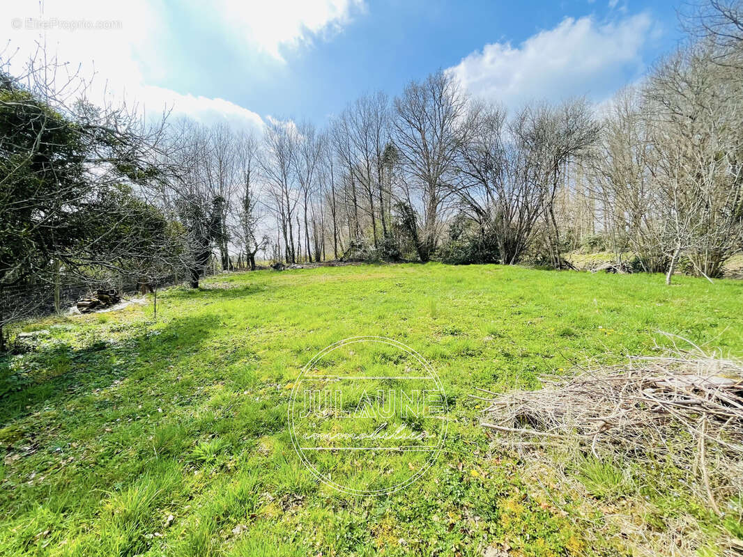 Terrain à SAINT-PRIEST-TAURION