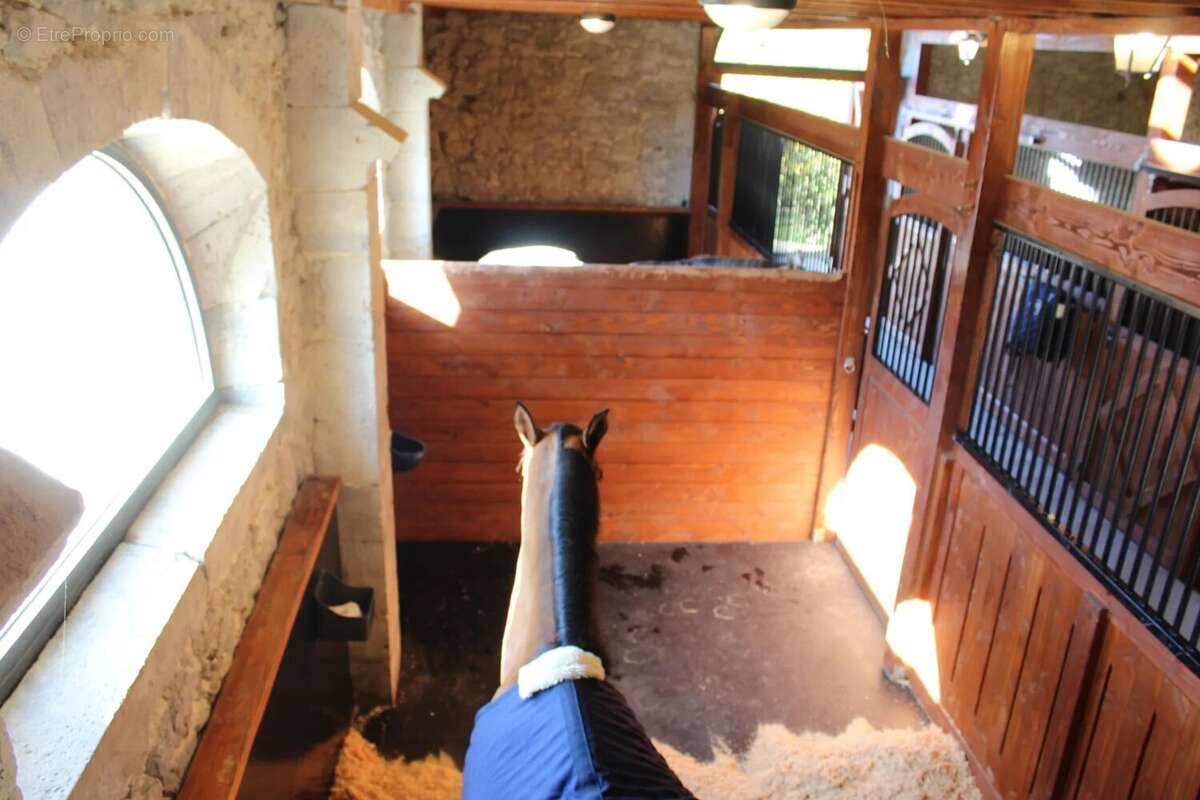 Maison à SAINT-VINCENT-DE-LAMONTJOIE