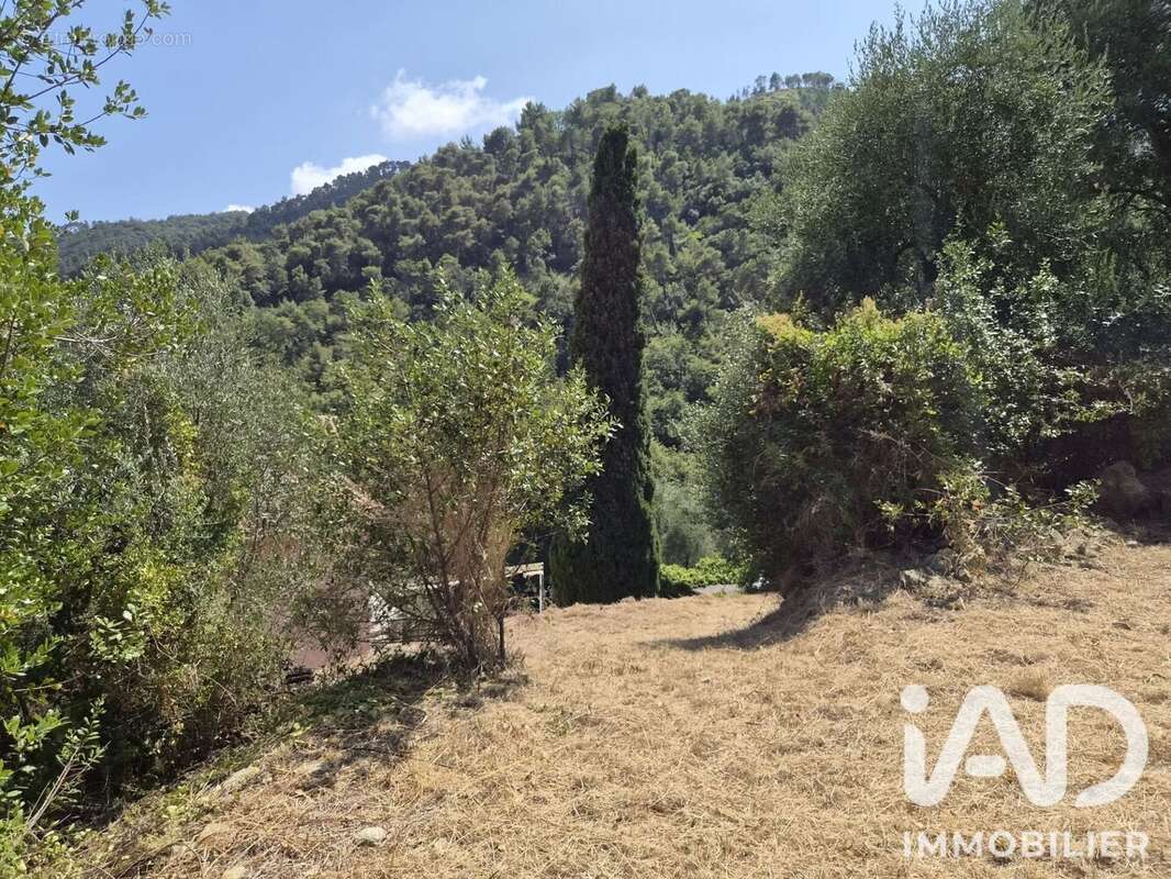 Terrain 802 m² à Gorbio  - photo 3