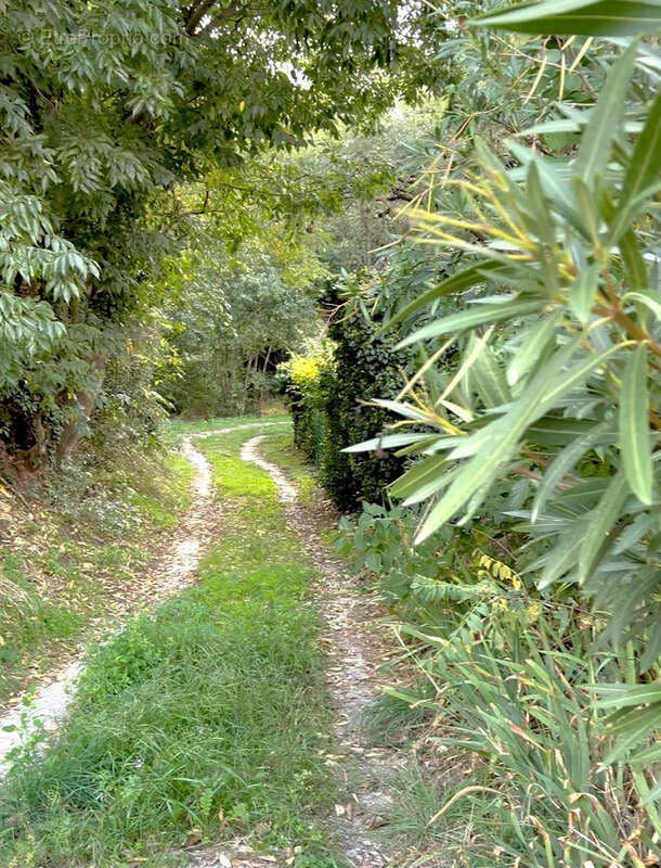 Maison à MAUREILLAS-LAS-ILLAS