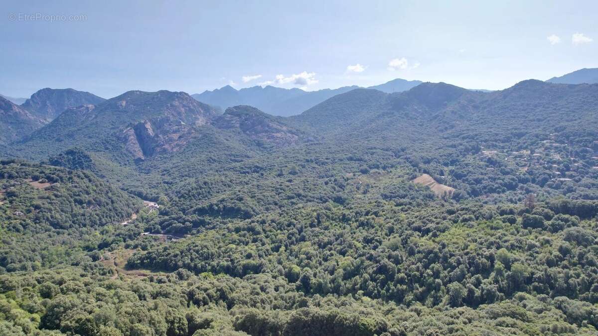 Maison à ECCICA-SUARELLA