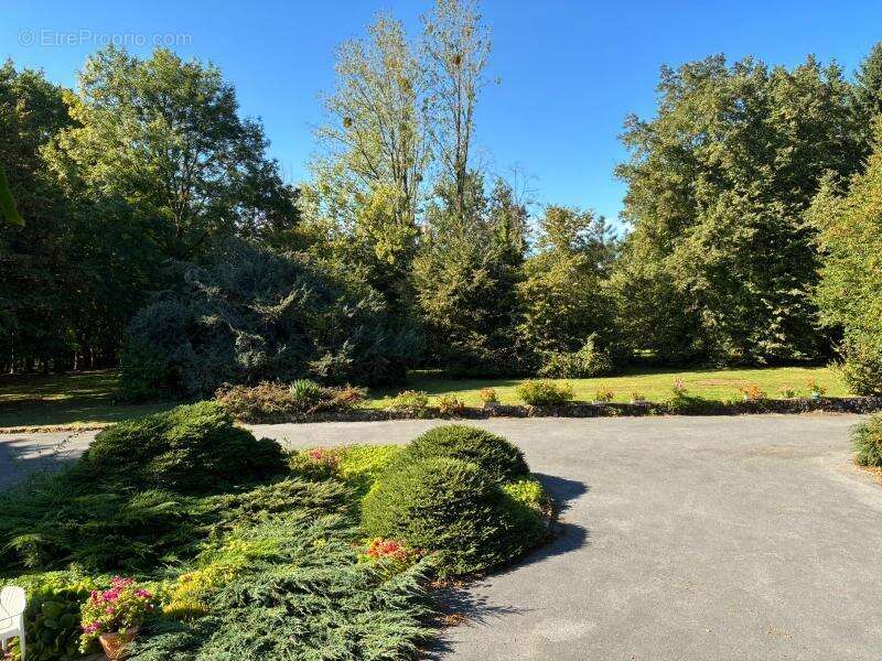 Maison à AVESNES-SUR-HELPE