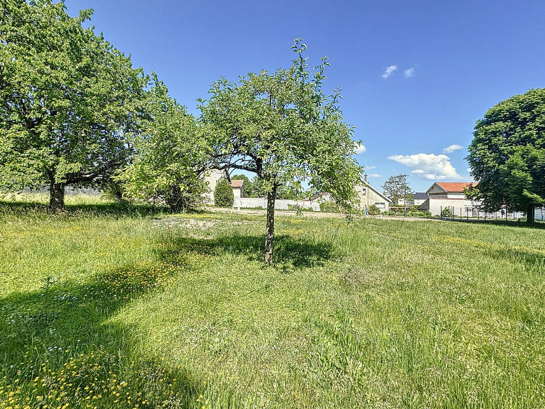 Terrain à COURCY