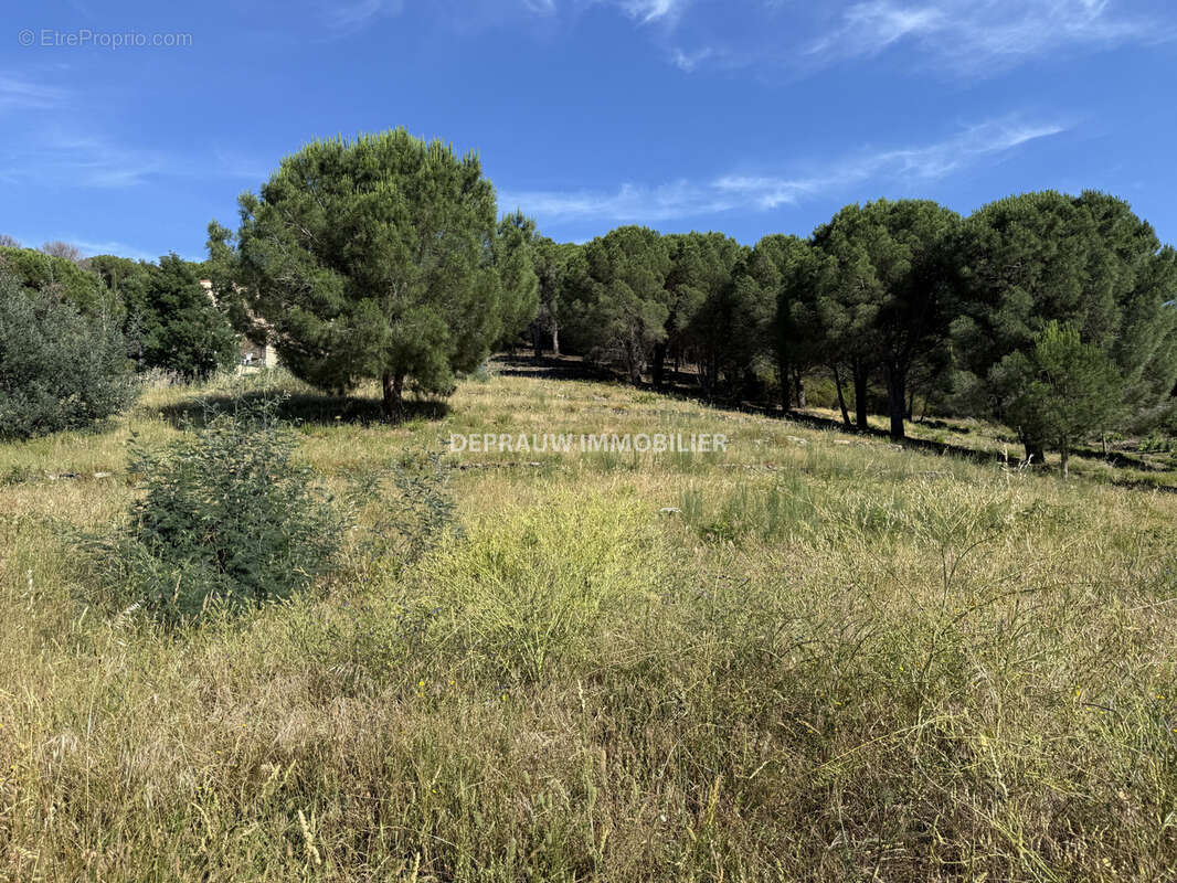 Terrain à COLLIOURE