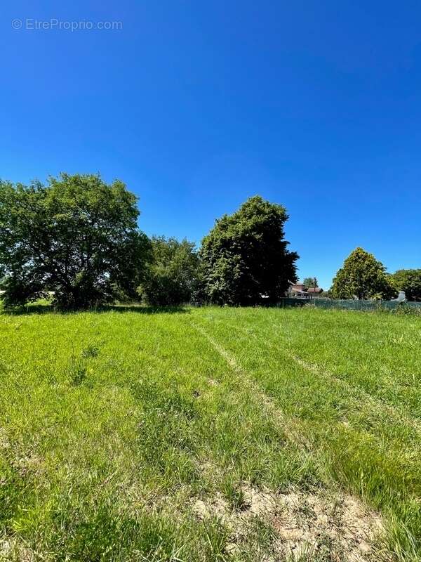 Terrain plat viabilisé 914 m² – Accès rapide Toulouse/Montauban-Bressols (82370) - photo 2
