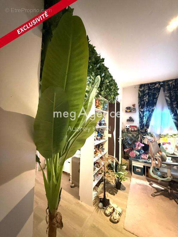 Studio vendu loué, idéale investisseur - photo 3