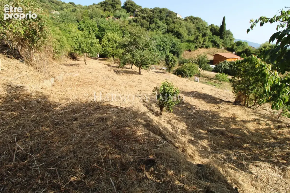 PILA-CANALE — Rare : Grand terrain en restanques de 2 154 m2avec bâtisse traditionnelle en granit à réhabilite - photo 3