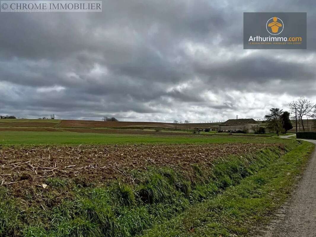 Terrain à PARDAILLAN