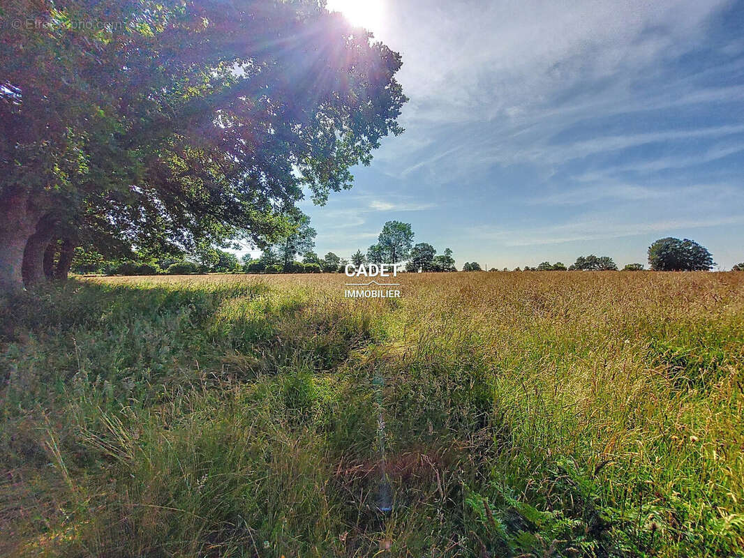 Terrain à LA HAYE-PESNEL