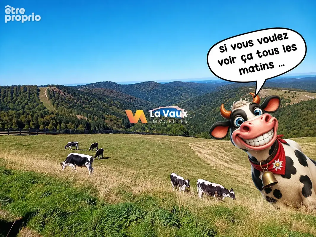 Photo Commerce à La Bresse au prix de 334 000€