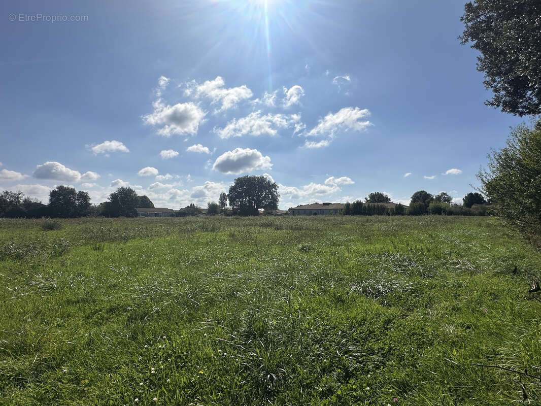 Terrain à LATILLE