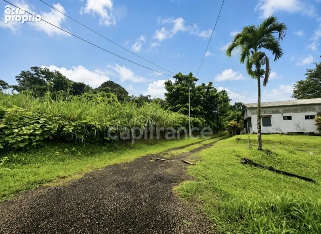 A vendre - Terrain plat de 729 m² – Ajoupa-Bouillon – Secteur Adinet - photo 4