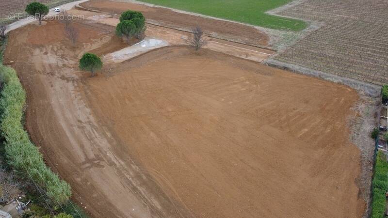 Terrain à ALIGNAN-DU-VENT