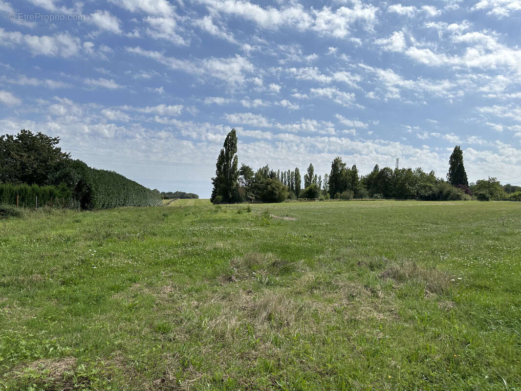 Terrain à VALLERY