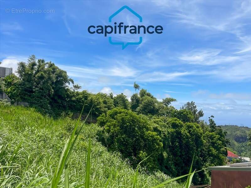 Terrain à SAINT-DENIS