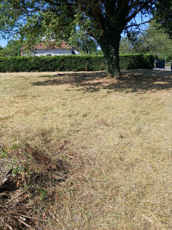 Maison 75 m² à La Guerche-Sur-L'aubois  - photo 10