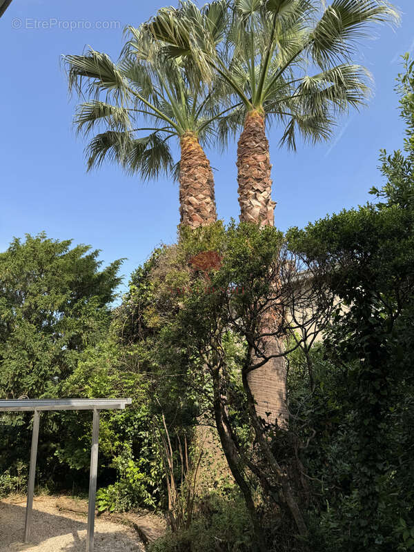 Maison à CLERMONT-L'HERAULT