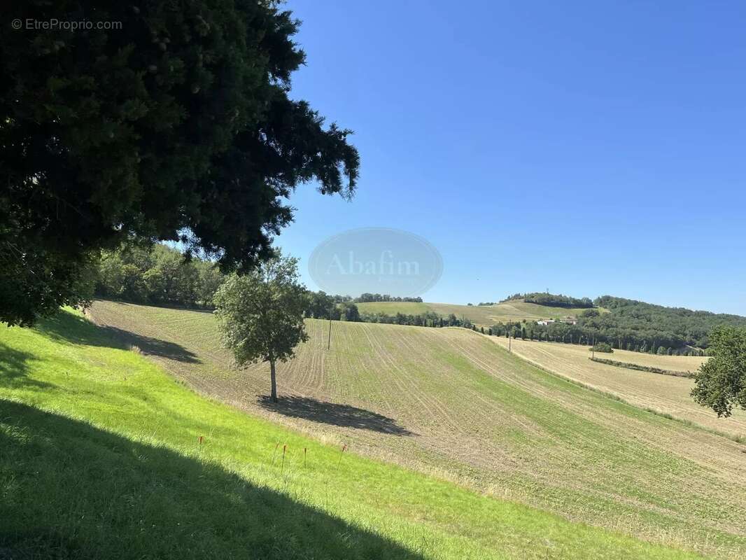 Maison à PUYLAURENS