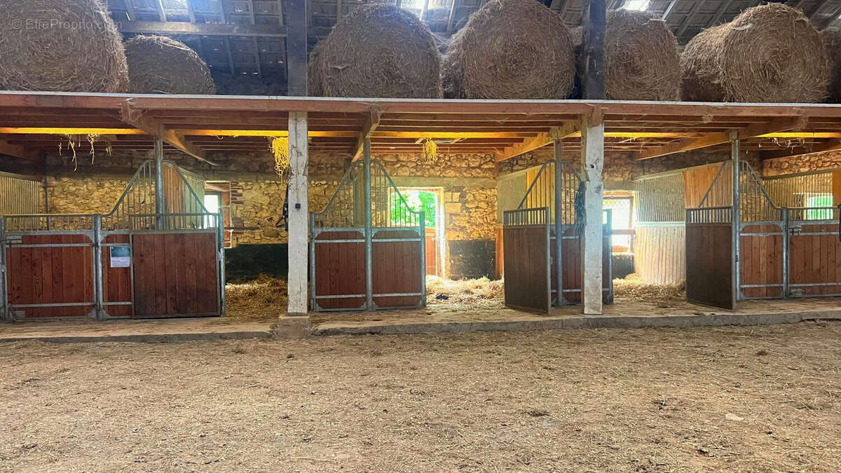 Maison à VILLENEUVE-SUR-LOT