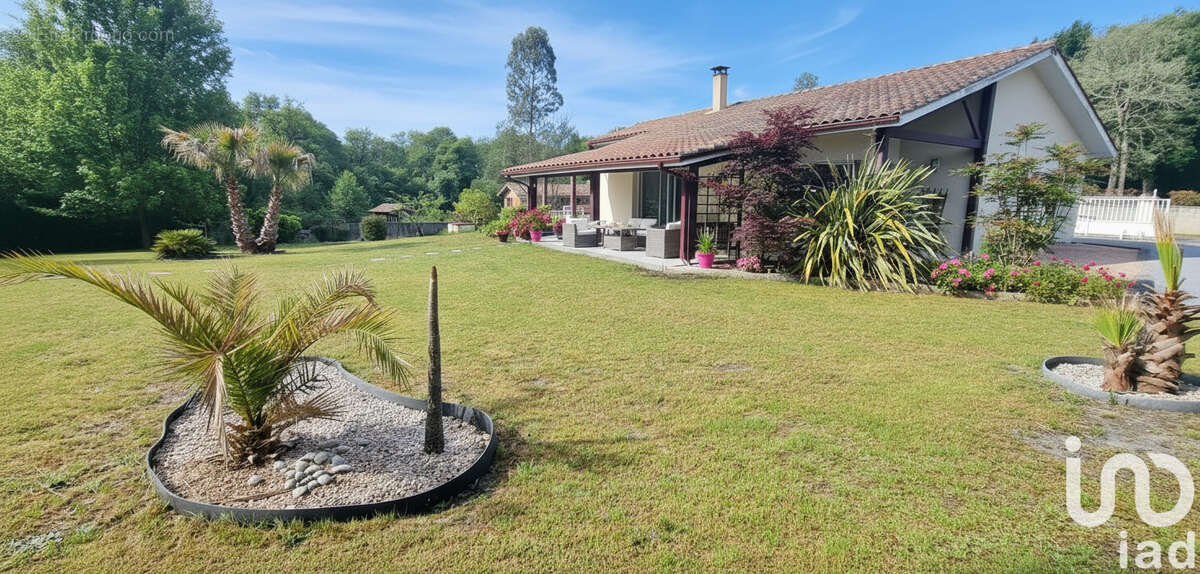 Photo 2 - Maison à PARENTIS-EN-BORN