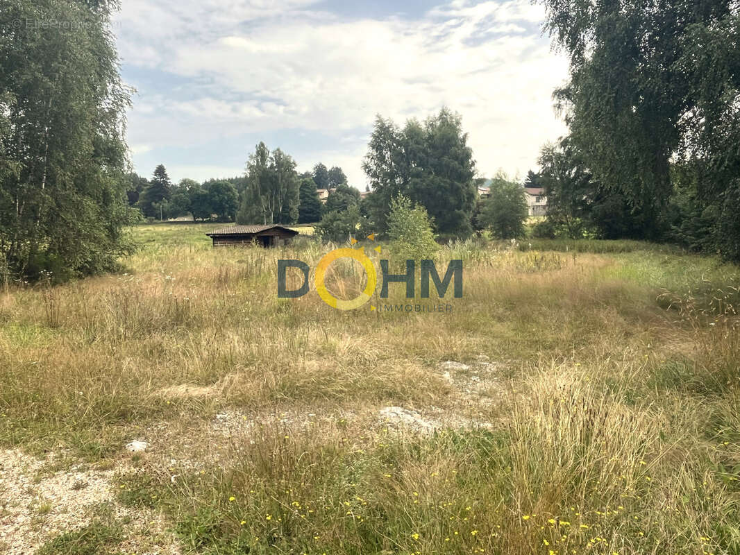 Commerce à USSON-EN-FOREZ