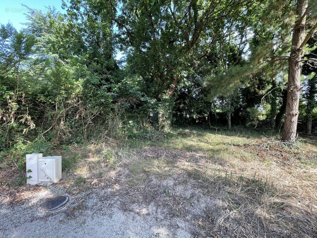 Terrain 569 m² à Sarzeau  - photo 2