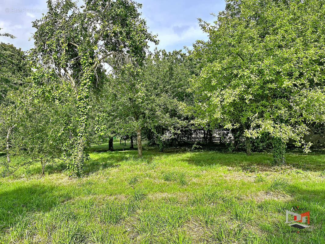 Terrain à CAVAN