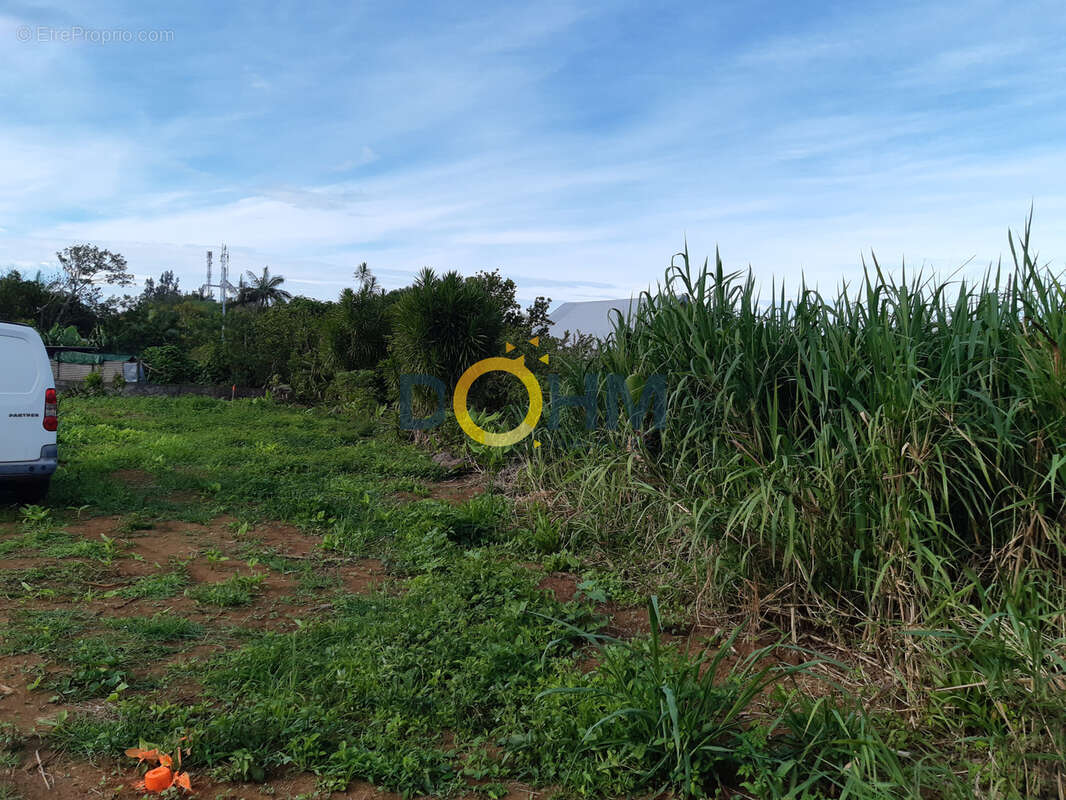Terrain à SAINT-JOSEPH
