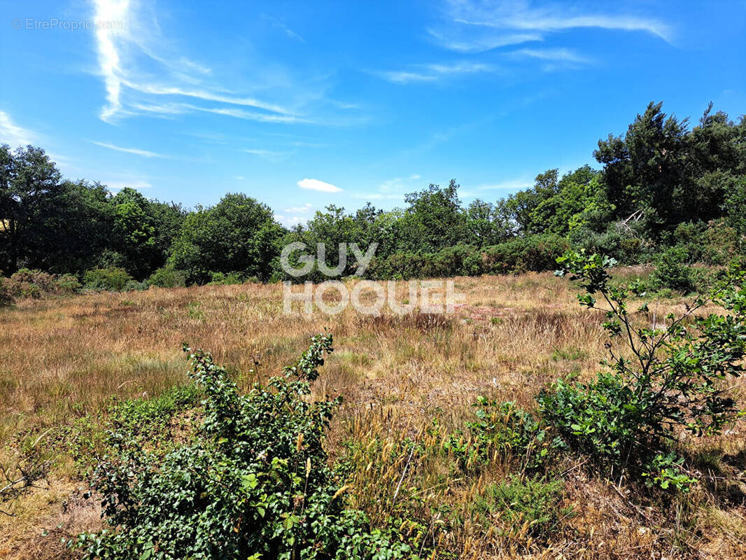 Terrain à CAMPENEAC