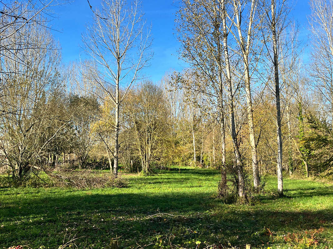 Terrain à VILLEREAL