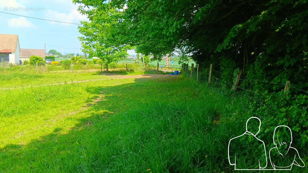 Terrain 1000 m² à Saint-Aubin-Sur-Quillebeuf  - photo 3