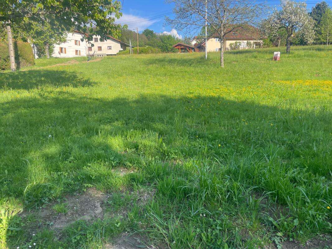 Terrain à SAINT-FELIX