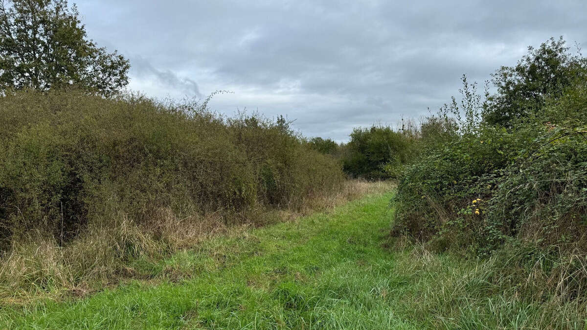Terrain à ROMORANTIN-LANTHENAY