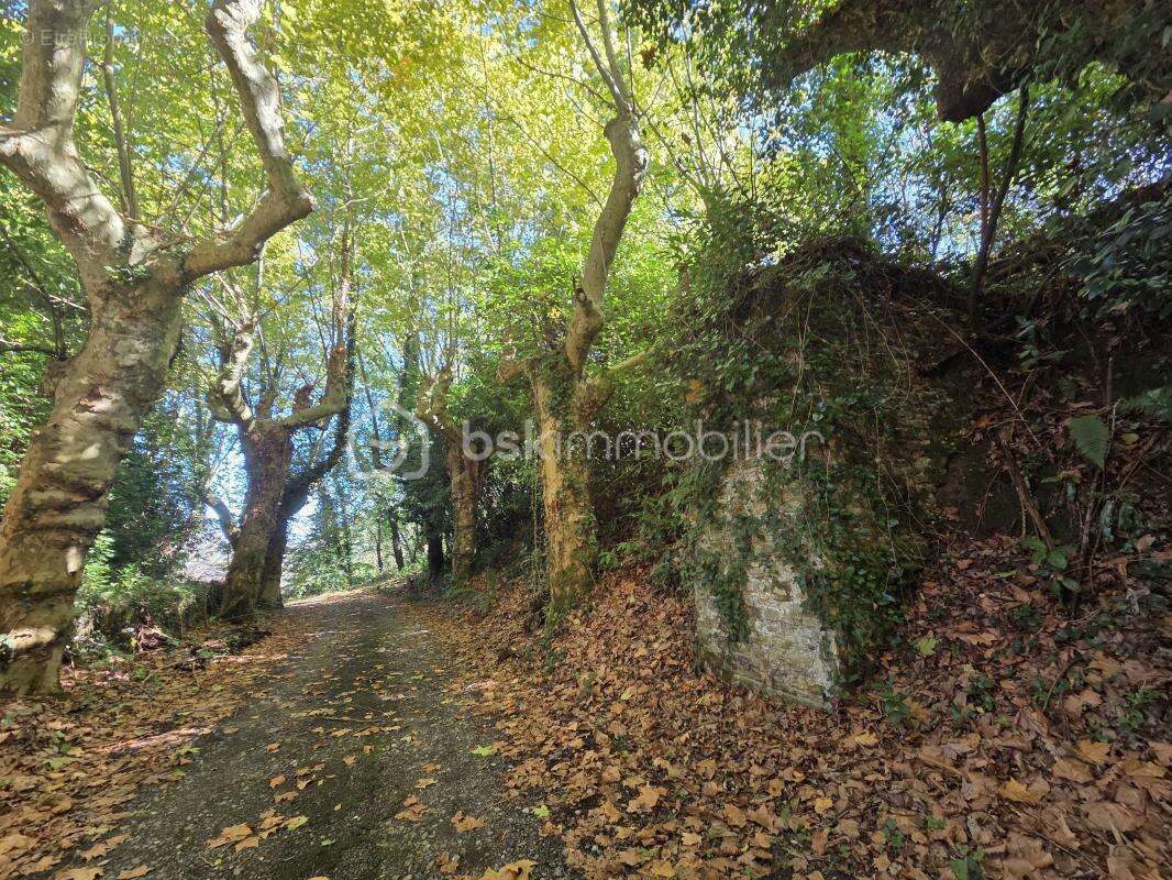 Appartement à NAVARRENX