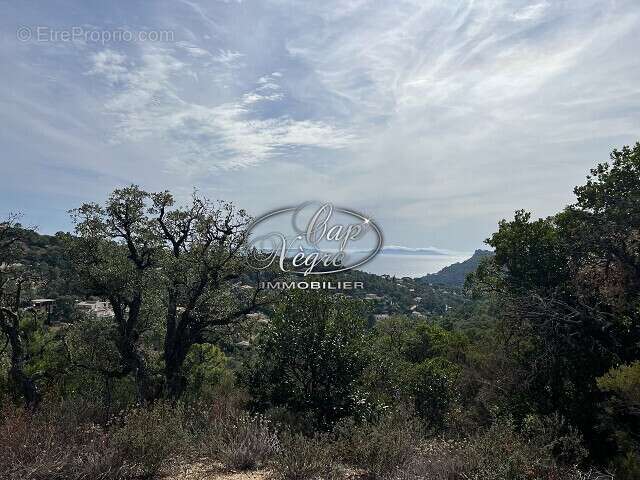 Terrain à RAYOL-CANADEL-SUR-MER