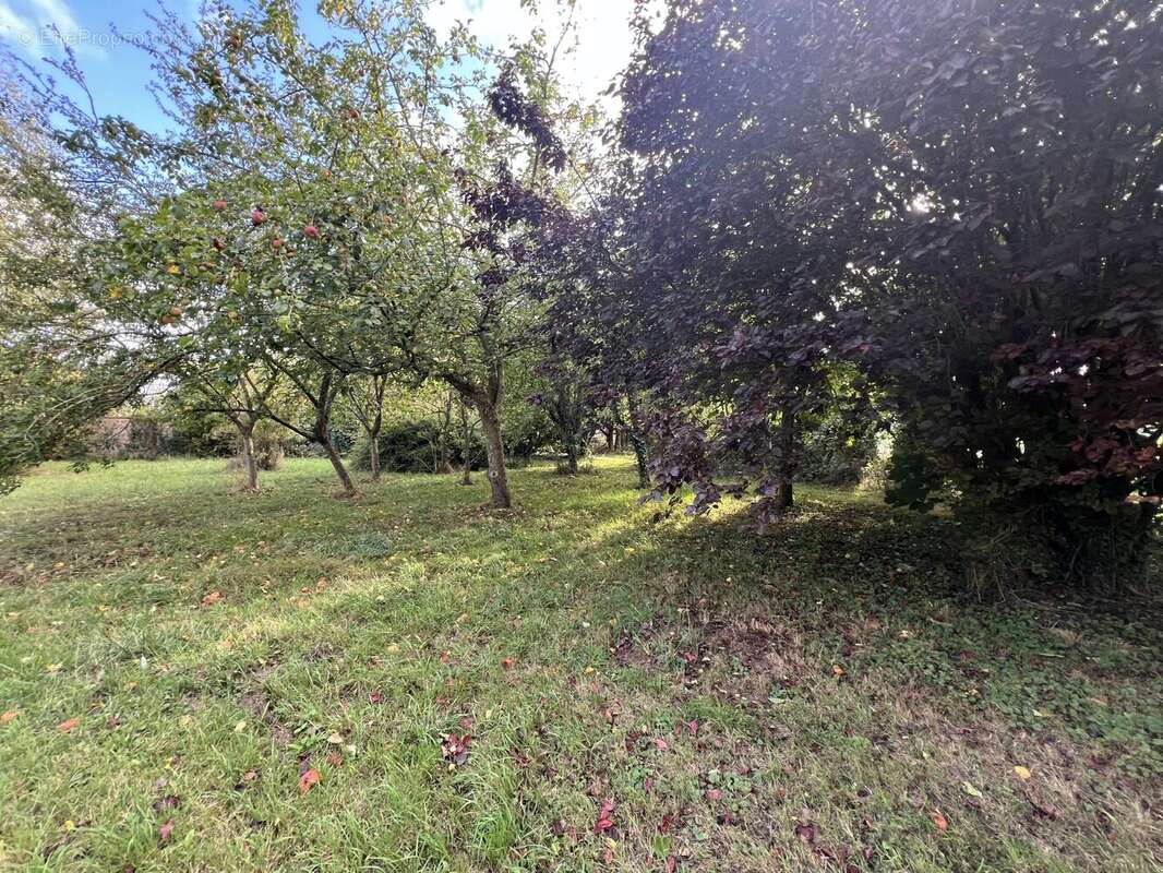 Maison à CHICHEBOVILLE