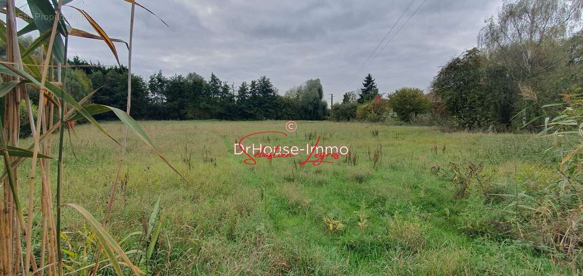 Terrain à MARCHIENNES