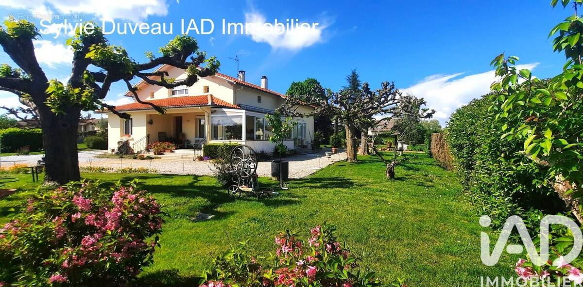 Photo 1 - Maison à LABASTIDE-SAINT-PIERRE