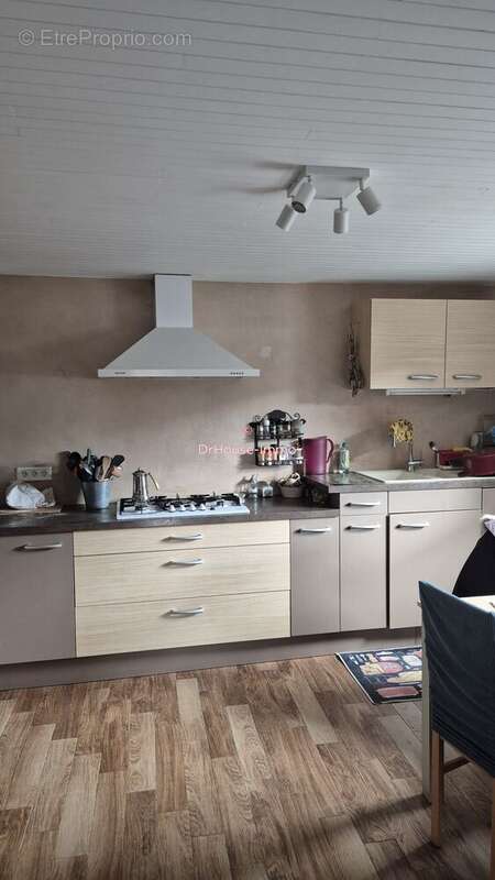 Maison à SAINT-JEAN-DE-THOLOME