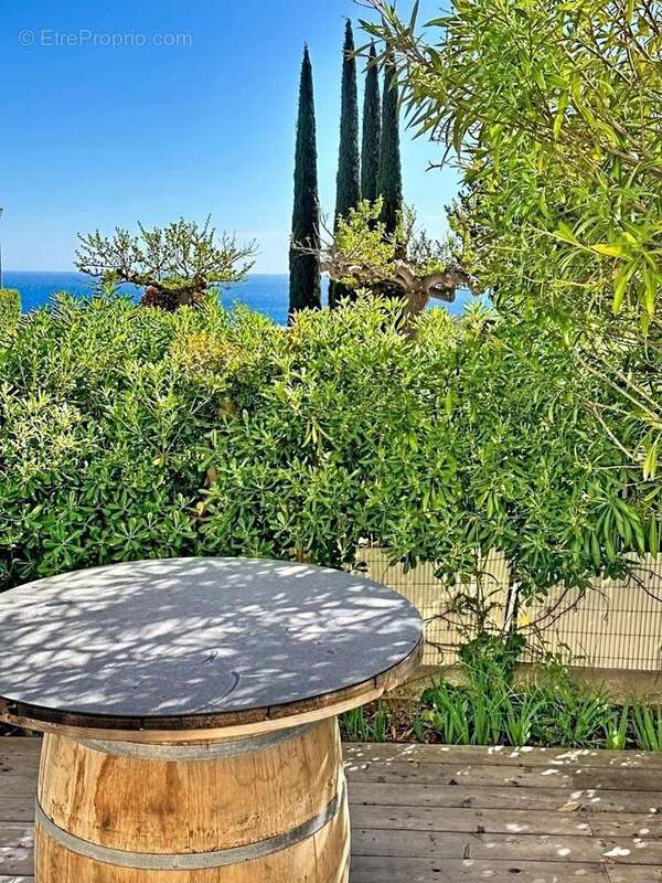 Photo 4 - Appartement à CASSIS