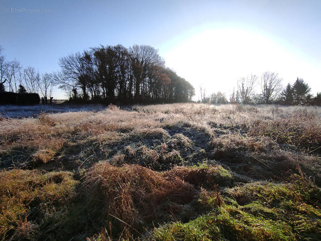 Terrain à SAVIGNIES