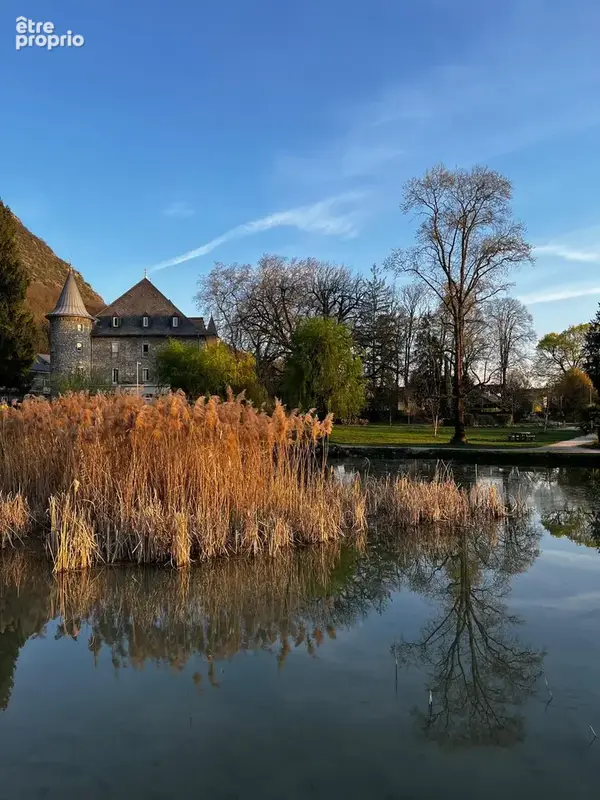 CHALLES LES EAUX Esprit Loft de 130 m2 et prestige historique dans un Château du XVI ème - photo 15